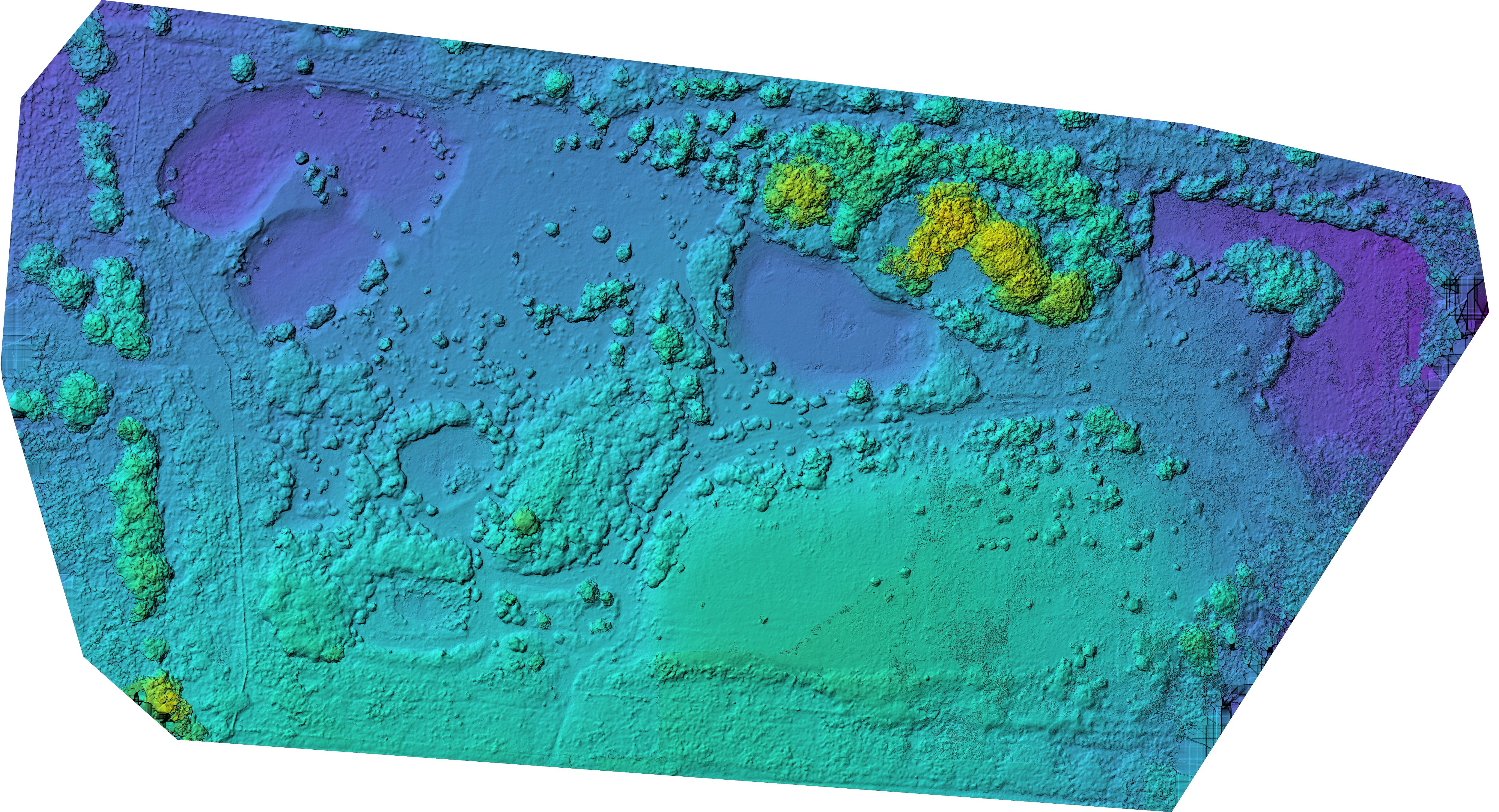 Compressed digital surface model